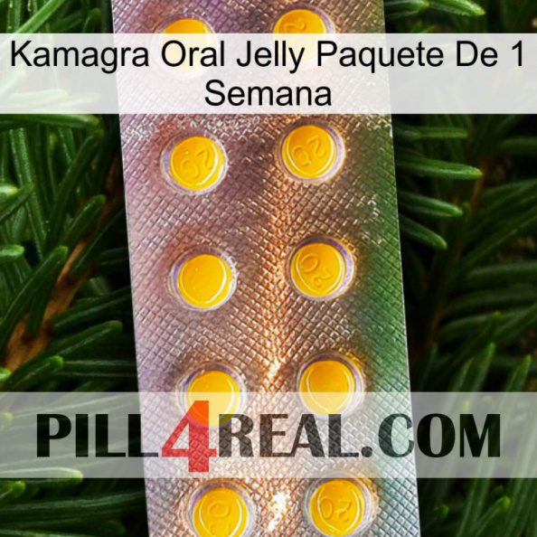 Kamagra Oral Jelly 1 Week Pack new11.jpg